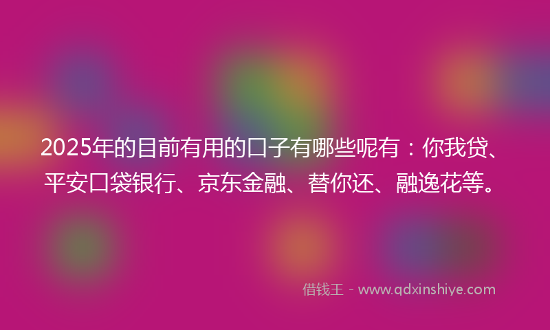 2025年的目前有用的口子有哪些呢有：你我贷、平安口袋银行、京东金融、替你还、融逸花等。