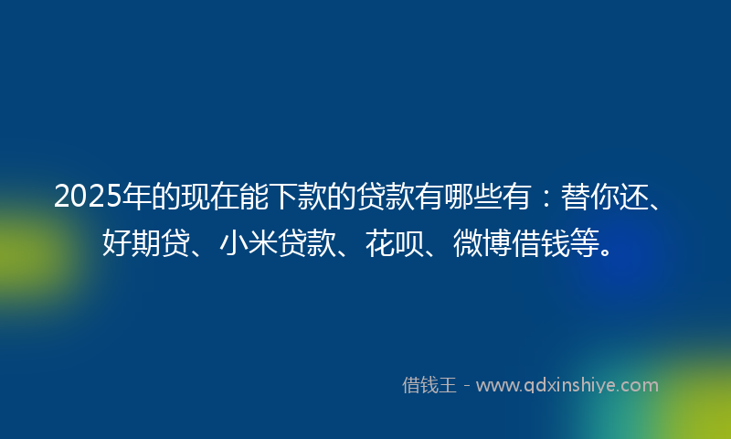 2025年的现在能下款的贷款有哪些有：替你还、好期贷、小米贷款、花呗、微博借钱等。