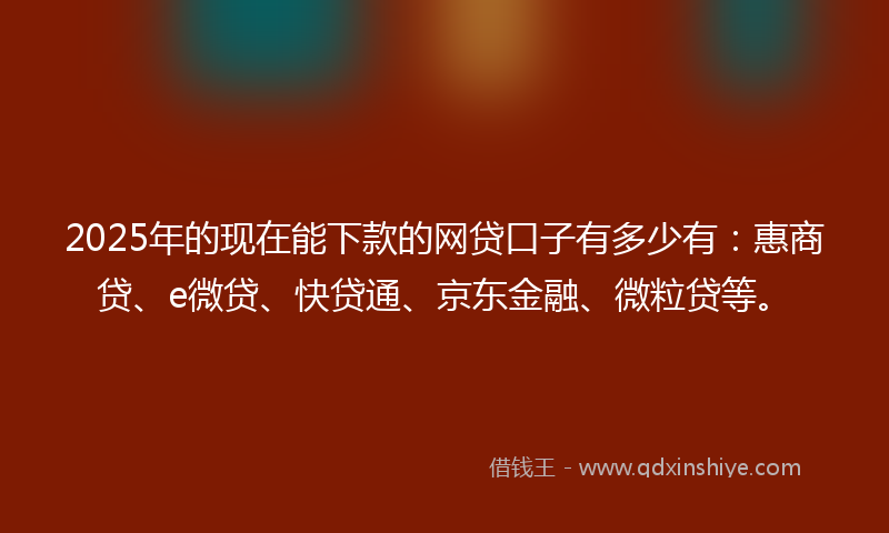 2025年的现在能下款的网贷口子有多少有：惠商贷、e微贷、快贷通、京东金融、微粒贷等。