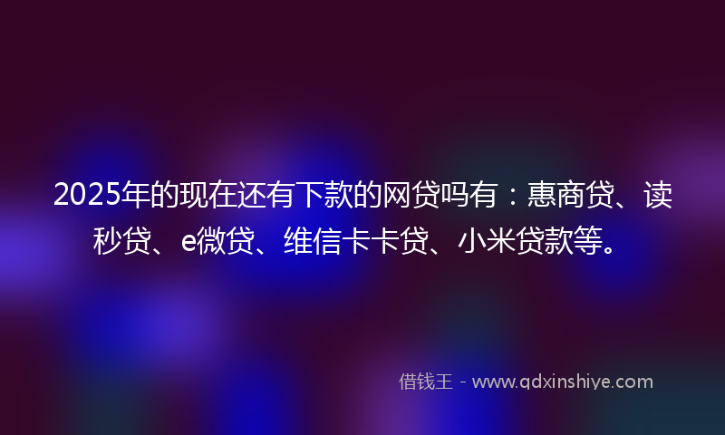 2025年的现在还有下款的网贷吗有：惠商贷、读秒贷、e微贷、维信卡卡贷、小米贷款等。