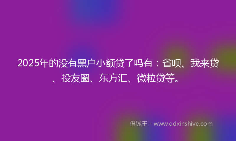 2025年的没有黑户小额贷了吗有：省呗、我来贷、投友圈、东方汇、微粒贷等。