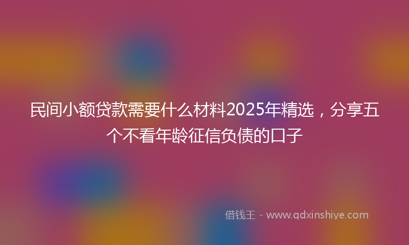 民间小额贷款需要什么材料2025年精选，分享五个不看年龄征信负债的口子