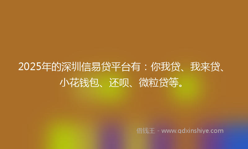 2025年的深圳信易贷平台有：你我贷、我来贷、小花钱包、还呗、微粒贷等。