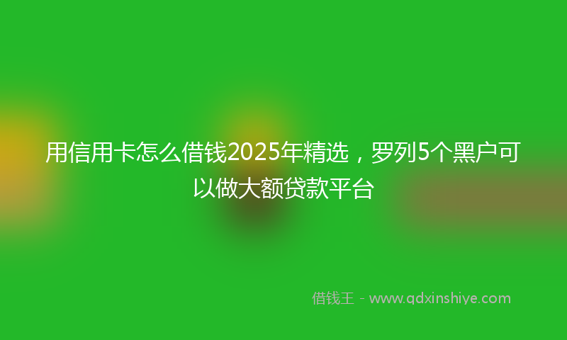 用信用卡怎么借钱2025年精选，罗列5个黑户可以做大额贷款平台