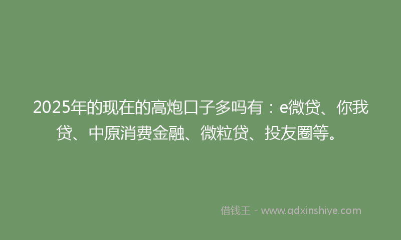 2025年的现在的高炮口子多吗有：e微贷、你我贷、中原消费金融、微粒贷、投友圈等。