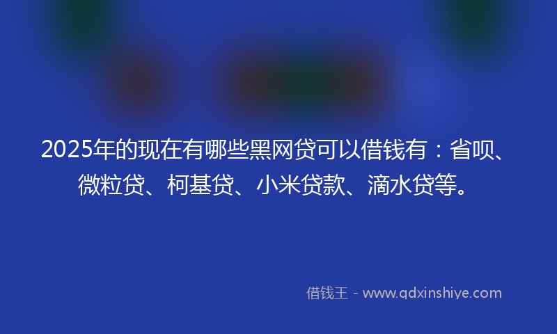 2025年的现在有哪些黑网贷可以借钱有：省呗、微粒贷、柯基贷、小米贷款、滴水贷等。