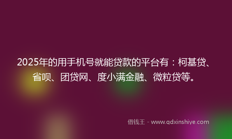 2025年的用手机号就能贷款的平台有：柯基贷、省呗、团贷网、度小满金融、微粒贷等。