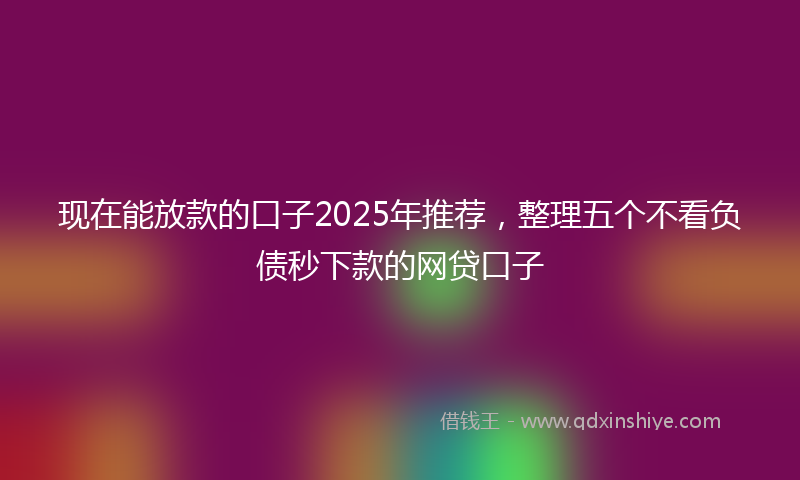现在能放款的口子2025年推荐，整理五个不看负债秒下款的网贷口子