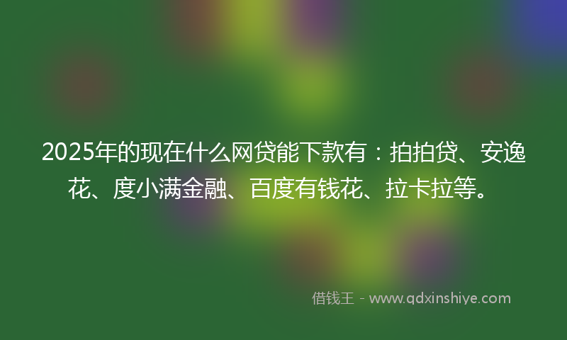 2025年的现在什么网贷能下款有：拍拍贷、安逸花、度小满金融、百度有钱花、拉卡拉等。