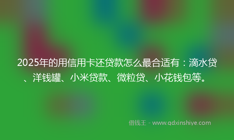 2025年的用信用卡还贷款怎么最合适有:滴水贷、洋钱罐、小米贷款、微粒贷、小花钱包等。