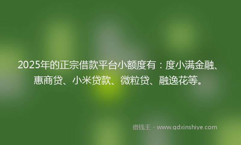 2025年的正宗借款平台小额度有：度小满金融、惠商贷、小米贷款、微粒贷、融逸花等。
