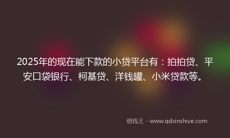 2025年的现在能下款的小贷平台有：拍拍贷、平安口袋银行、柯基贷、洋钱罐、小米贷款等。