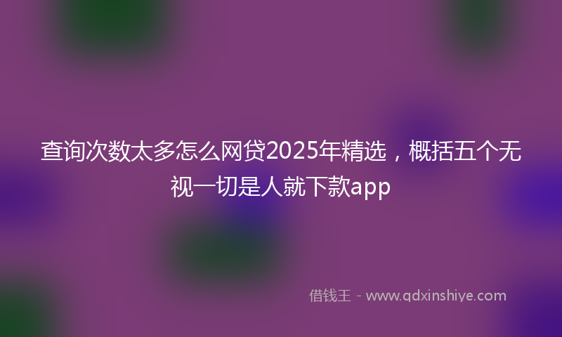 查询次数太多怎么网贷2025年精选，概括五个无视一切是人就下款app