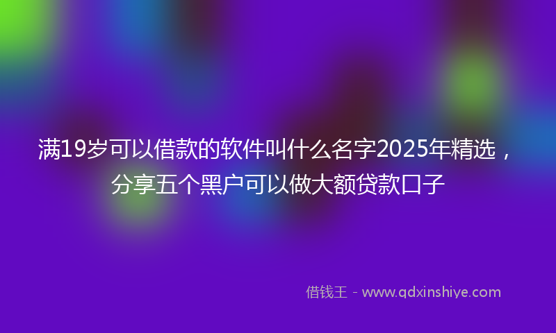 满19岁可以借款的软件叫什么名字2025年精选，分享五个黑户可以做大额贷款口子