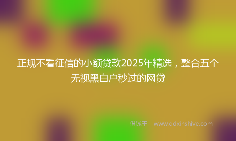 正规不看征信的小额贷款2025年精选，整合五个无视黑白户秒过的网贷