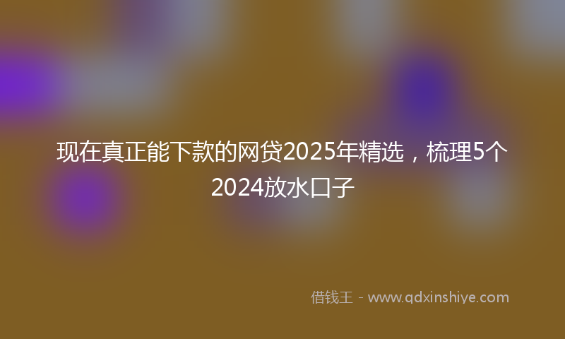 现在真正能下款的网贷2025年精选，梳理5个2024放水口子