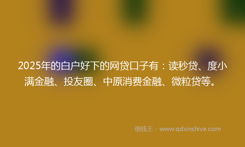 2025年的白户好下的网贷口子有:读秒贷、度小满金融、投友圈、中原消费金融、微粒贷等。