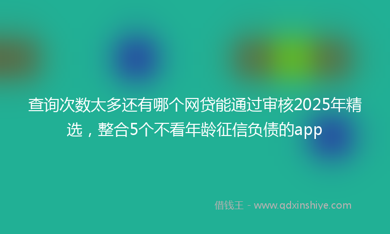 查询次数太多还有哪个网贷能通过审核2025年精选，整合5个不看年龄征信负债的app