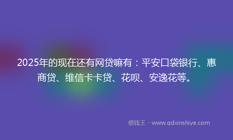 2025年的现在还有网贷嘛有：平安口袋银行、惠商贷、维信卡卡贷、花呗、安逸花等。