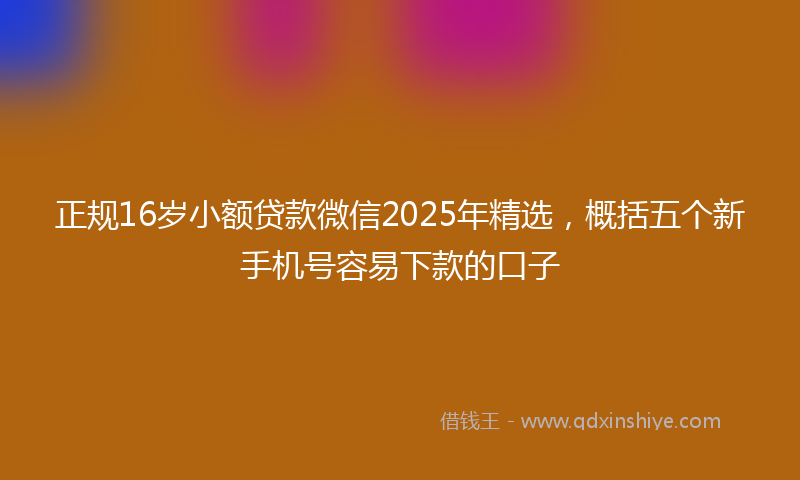 正规16岁小额贷款微信2025年精选，概括五个新手机号容易下款的口子