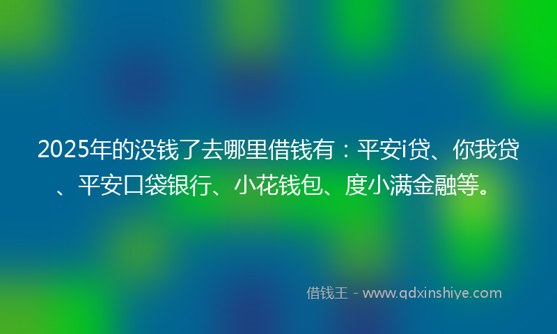 2025年的没钱了去哪里借钱有：平安i贷、你我贷、平安口袋银行、小花钱包、度小满金融等。