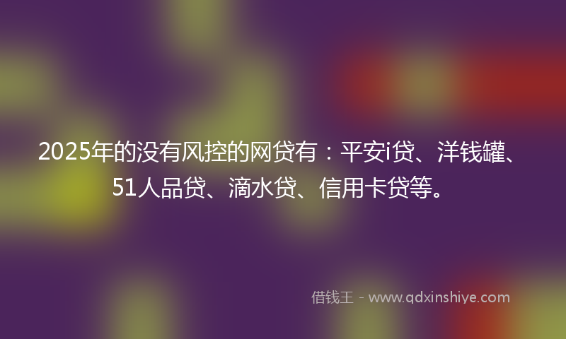 2025年的没有风控的网贷有：平安i贷、洋钱罐、51人品贷、滴水贷、信用卡贷等。