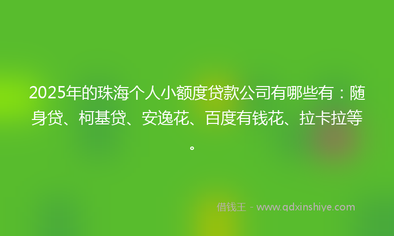 2025年的珠海个人小额度贷款公司有哪些有：随身贷、柯基贷、安逸花、百度有钱花、拉卡拉等。