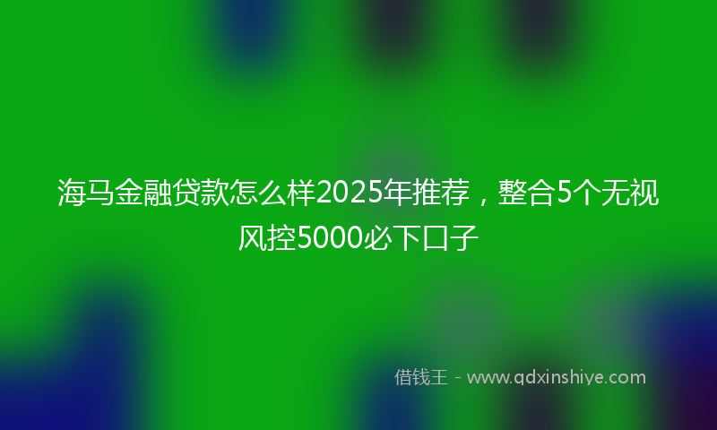 海马金融贷款怎么样2025年推荐，整合5个无视风控5000必下口子