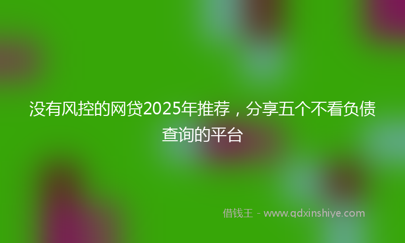 没有风控的网贷2025年推荐，分享五个不看负债查询的平台