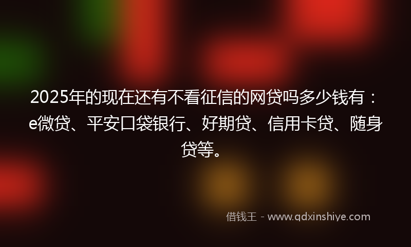 2025年的现在还有不看征信的网贷吗多少钱有：e微贷、平安口袋银行、好期贷、信用卡贷、随身贷等。