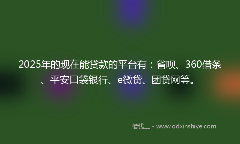 2025年的现在能贷款的平台有：省呗、360借条、平安口袋银行、e微贷、团贷网等。