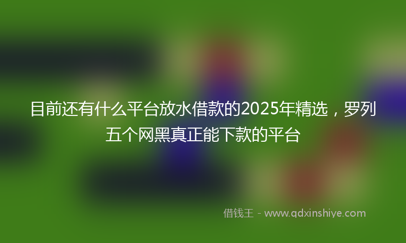 目前还有什么平台放水借款的2025年精选，罗列五个网黑真正能下款的平台