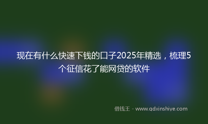 现在有什么快速下钱的口子2025年精选，梳理5个征信花了能网贷的软件