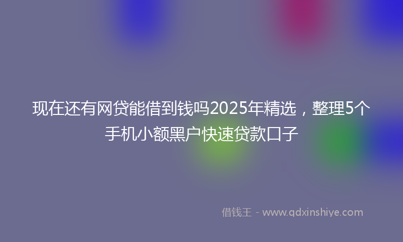 现在还有网贷能借到钱吗2025年精选，整理5个手机小额黑户快速贷款口子