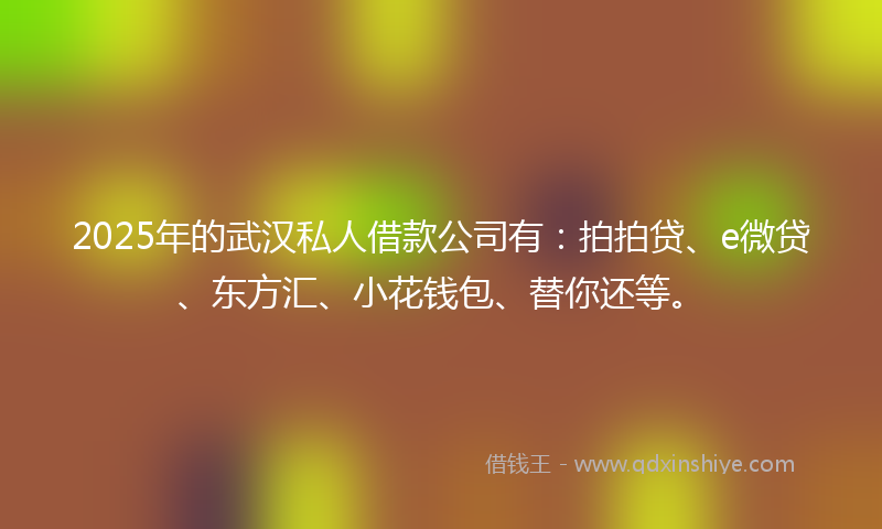 2025年的武汉私人借款公司有：拍拍贷、e微贷、东方汇、小花钱包、替你还等。