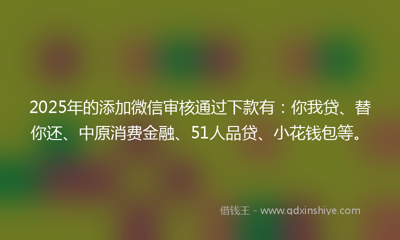 2025年的添加微信审核通过下款有：你我贷、替你还、中原消费金融、51人品贷、小花钱包等。