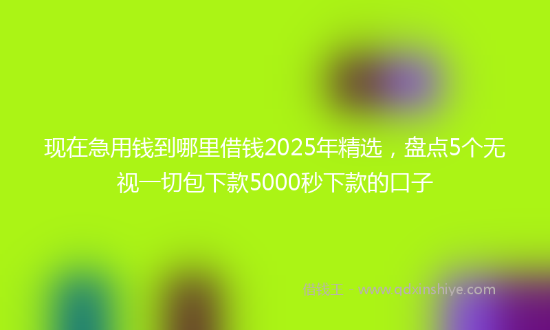 现在急用钱到哪里借钱2025年精选，盘点5个无视一切包下款5000秒下款的口子
