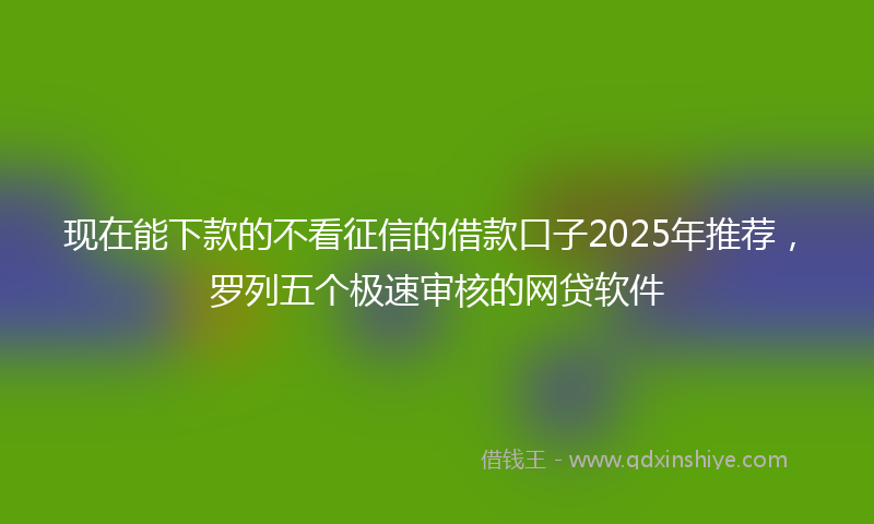 现在能下款的不看征信的借款口子2025年推荐，罗列五个极速审核的网贷软件