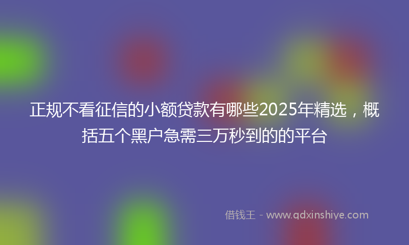 正规不看征信的小额贷款有哪些2025年精选，概括五个黑户急需三万秒到的的平台