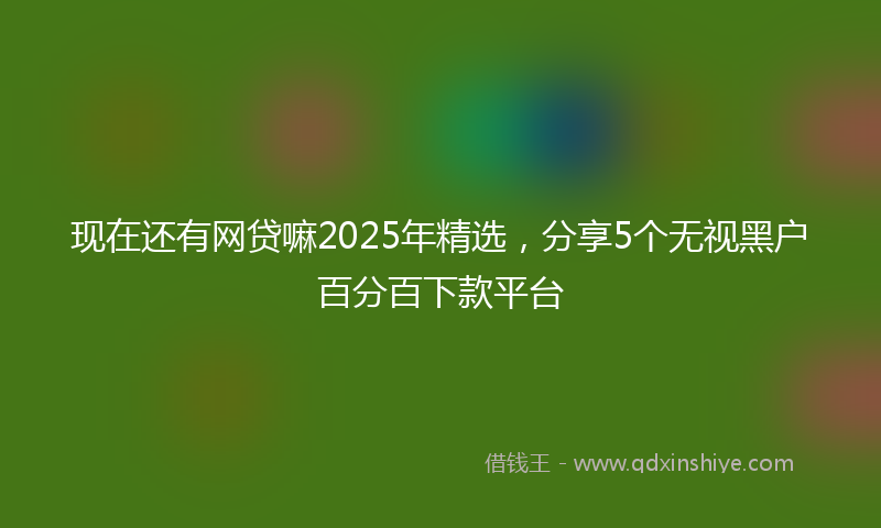 现在还有网贷嘛2025年精选，分享5个无视黑户百分百下款平台