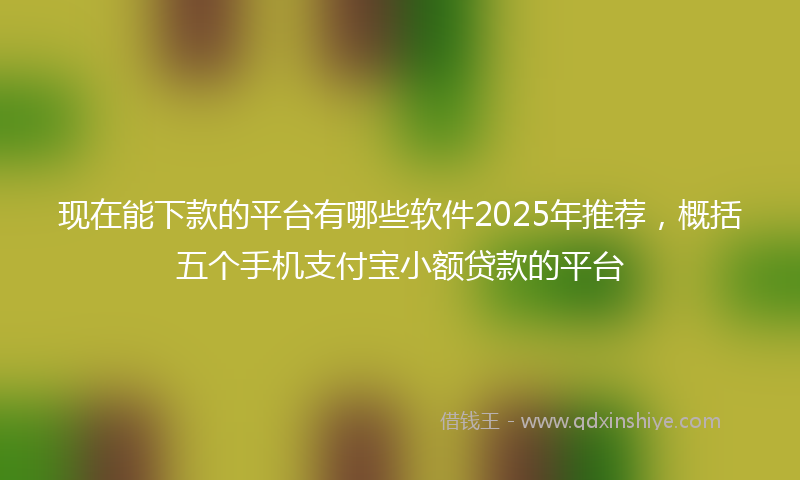 现在能下款的平台有哪些软件2025年推荐，概括五个手机支付宝小额贷款的平台