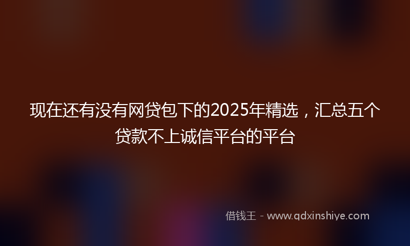 现在还有没有网贷包下的2025年精选,汇总五个贷款不上诚信平台的平台