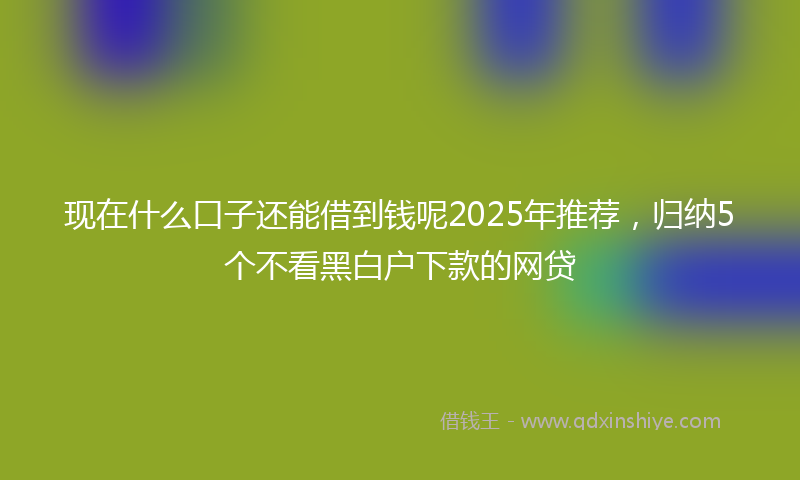 现在什么口子还能借到钱呢2025年推荐，归纳5个不看黑白户下款的网贷