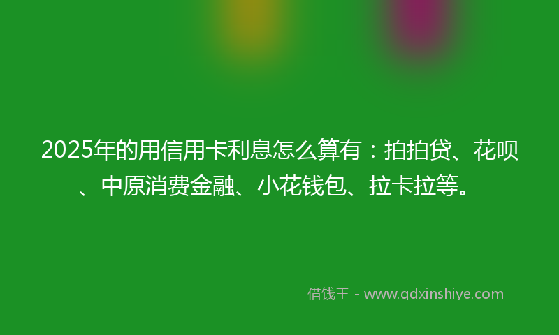 2025年的用信用卡利息怎么算有：拍拍贷、花呗、中原消费金融、小花钱包、拉卡拉等。