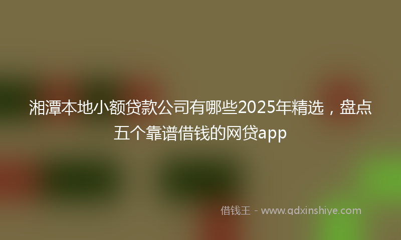 湘潭本地小额贷款公司有哪些2025年精选，盘点五个靠谱借钱的网贷app