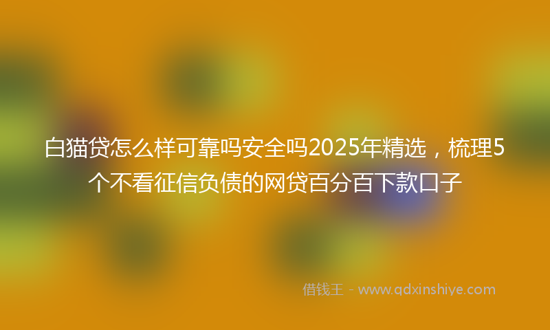 白猫贷怎么样可靠吗安全吗2025年精选，梳理5个不看征信负债的网贷百分百下款口子