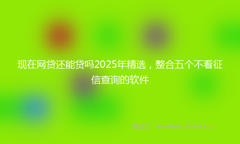 现在网贷还能贷吗2025年精选，整合五个不看征信查询的软件