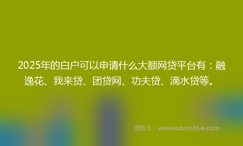 2025年的白户可以申请什么大额网贷平台有：融逸花、我来贷、团贷网、功夫贷、滴水贷等。