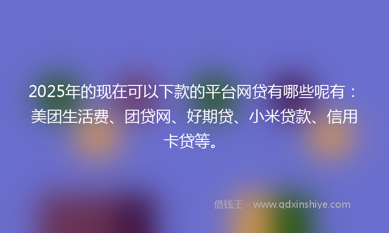 2025年的现在可以下款的平台网贷有哪些呢有：美团生活费、团贷网、好期贷、小米贷款、信用卡贷等。