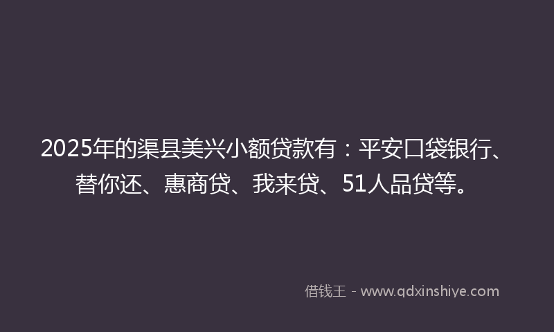 2025年的渠县美兴小额贷款有：平安口袋银行、替你还、惠商贷、我来贷、51人品贷等。